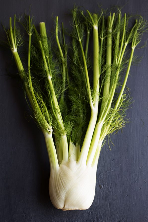 Creamy Fish and Fennel Bake aninas recipes