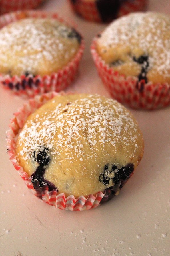 Dark Chocolate and Cranberry Muffins