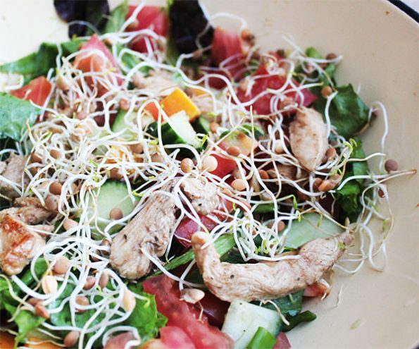 Rustic Chicken Salad with Sprouts