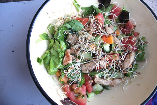 Rustic Chicken Salad with Sprouts