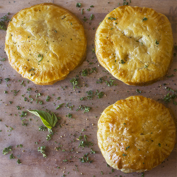 Leftover Chicken Pies aninas recipes