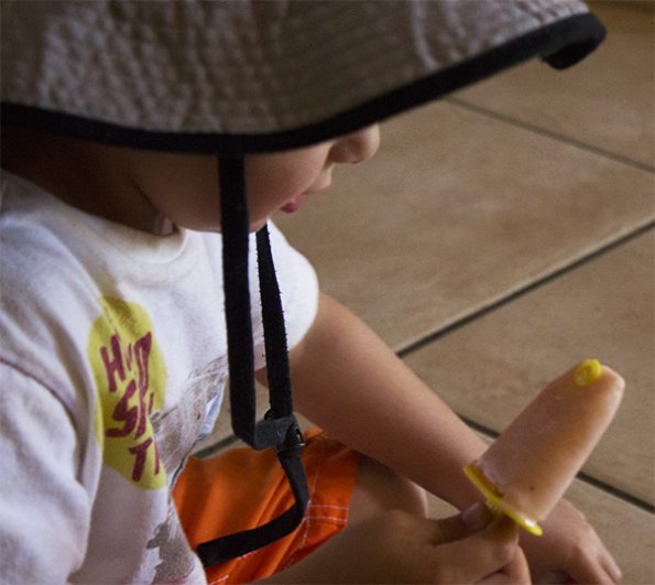 Smoothie Ice Cream Pops