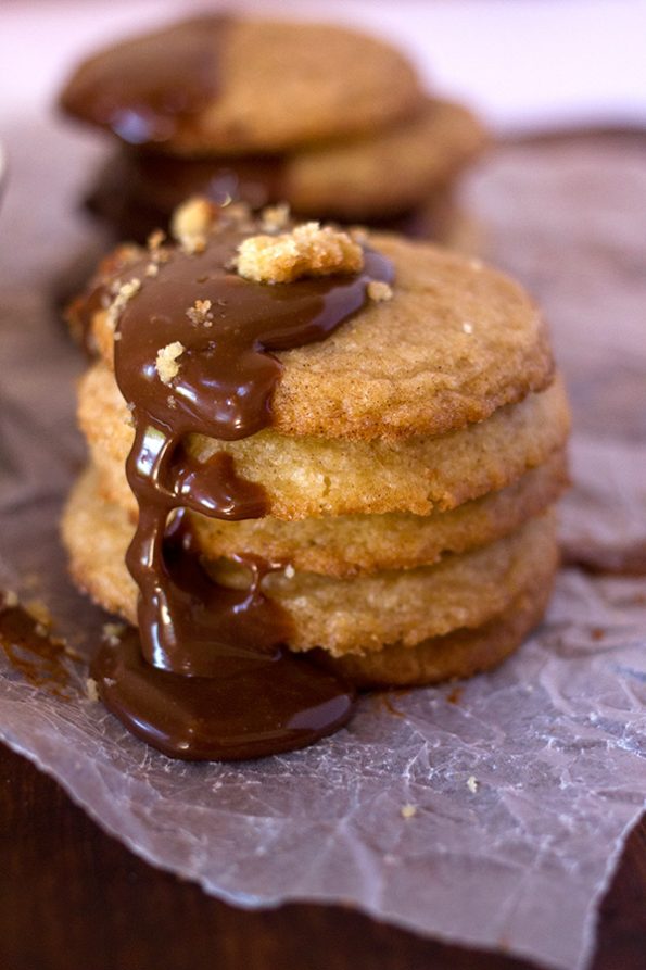 Chocolate Covered Snickerdoodles