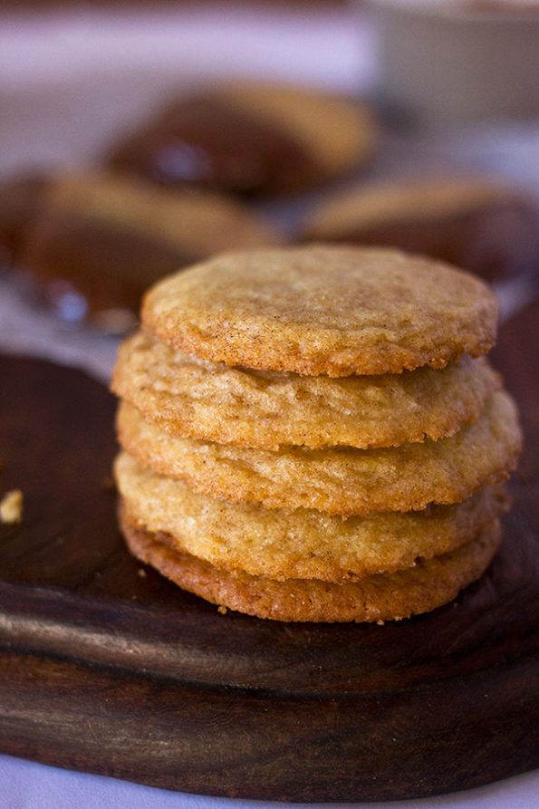 Chocolate Covered Snickerdoodles