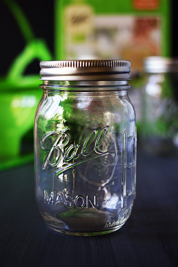 Antipasto Relish and a Ball® Home Preserving Kit Giveaway