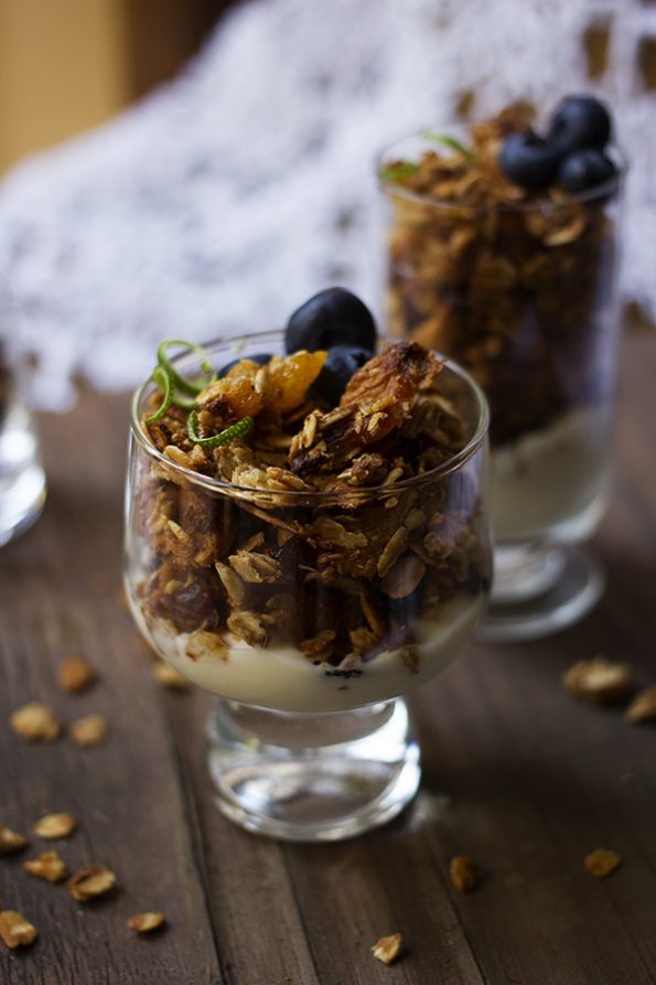 Apricot, Macadamia and Honey Granola
