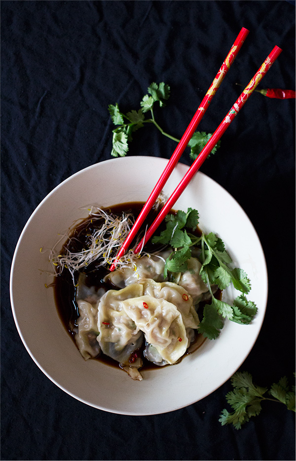 porkdumplings5 aninas recipes